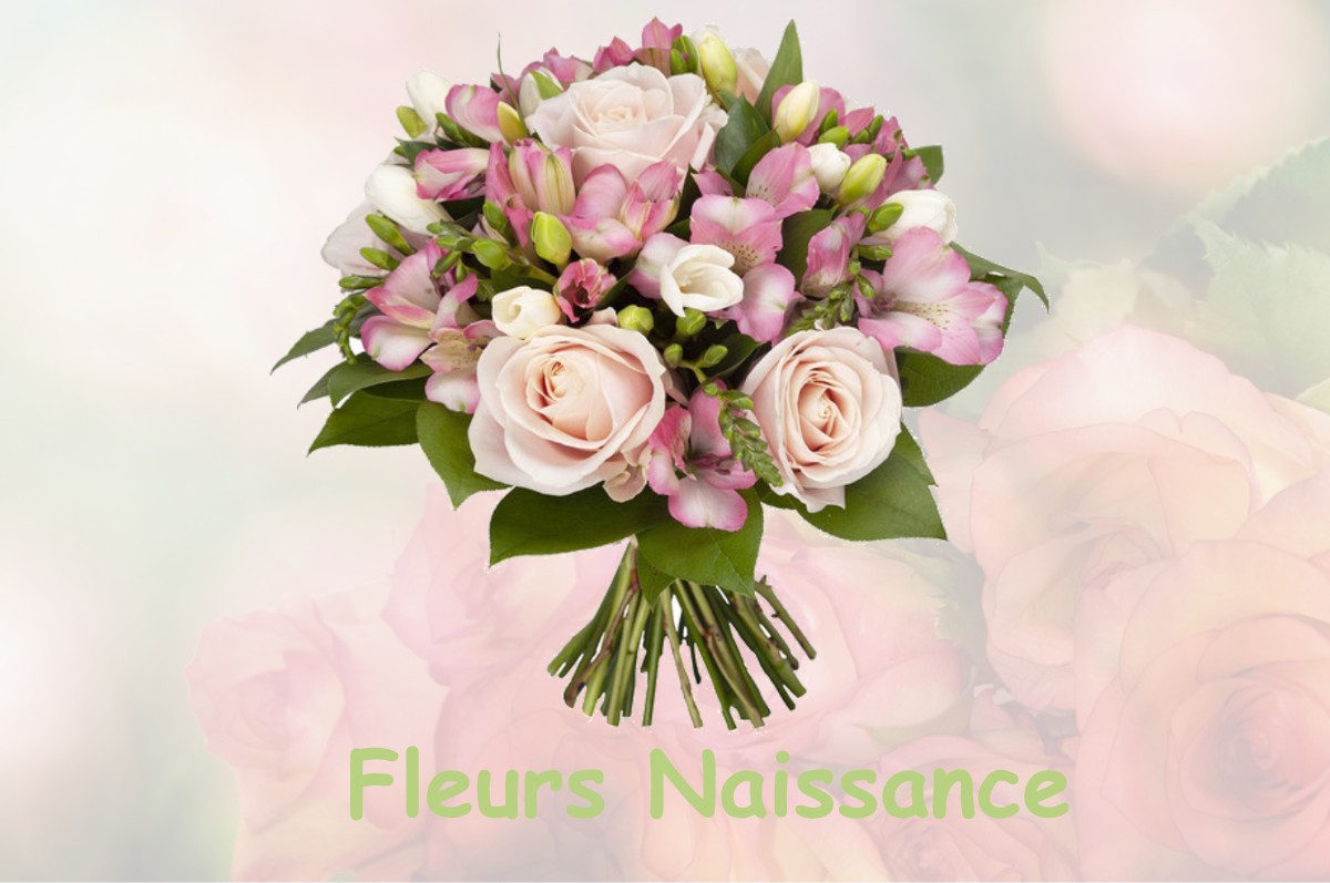 fleurs naissance BEAUCHALOT