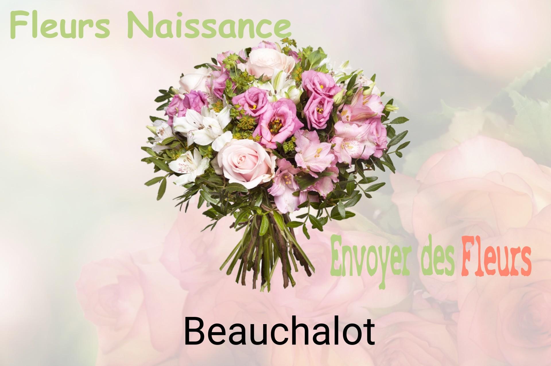 Bouquet de fleurs de naissance livré à Beauchalot