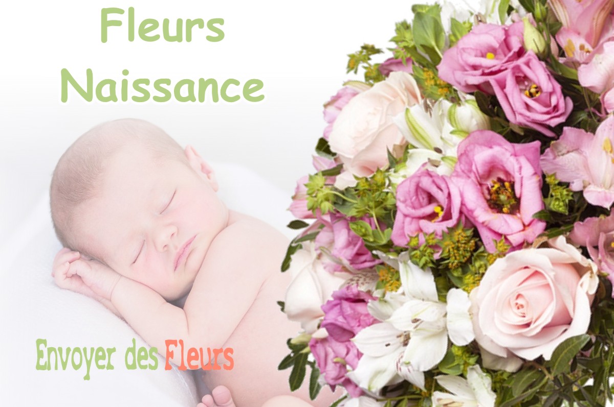 lIVRAISON FLEURS NAISSANCE à BEAUCHALOT